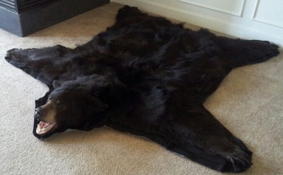 Cropped Bear Rug