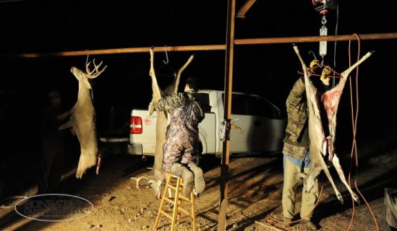 DEER-HUNTING-TXI-43477-copy-600x350[1]