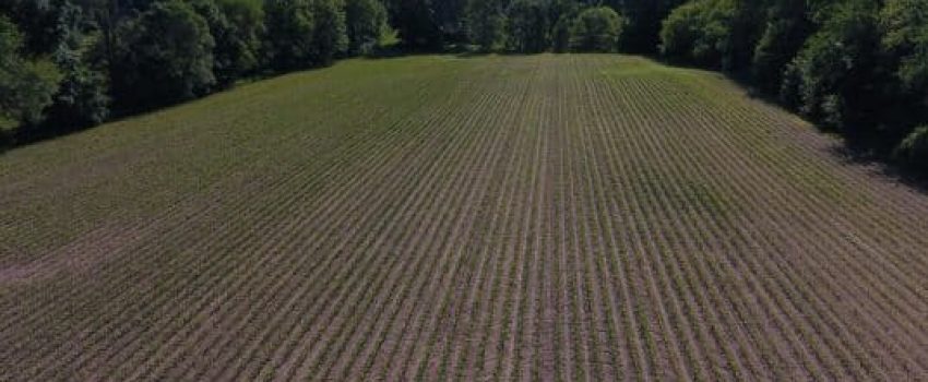 DJI_0039-3-536x370