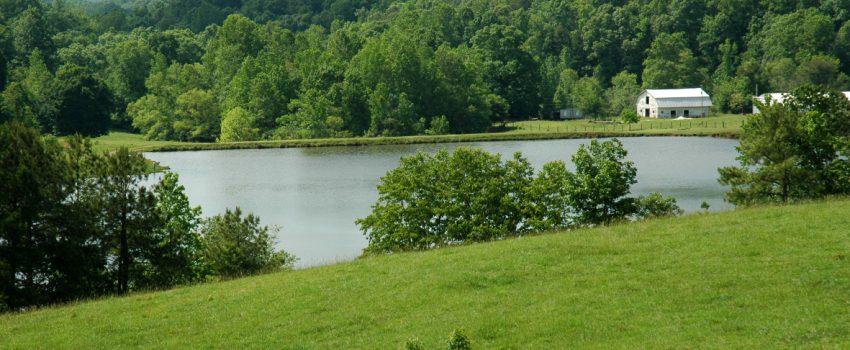 DSC_0050-for-Fish-Pon_opt