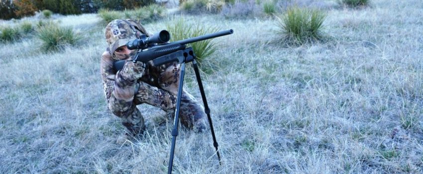 ????????????????????????????????????