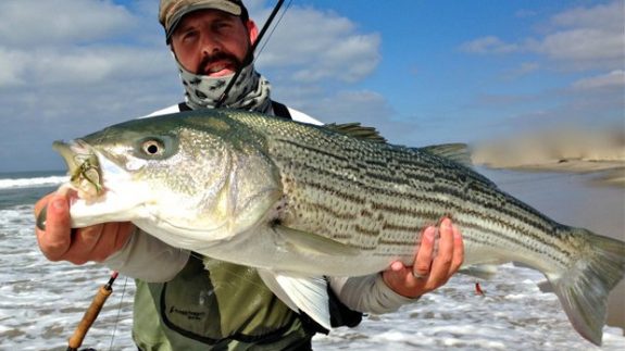 Dave_Schonzeit_striper_best_photo_r620x349