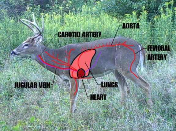 P242-348-256-412-19h-005-09-0360-1080-0359-1079