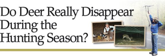 Deer-Disappear-Lead_opt