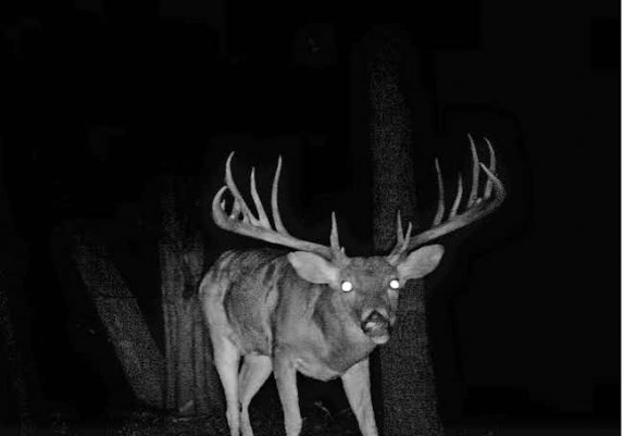 Drinnon-Grayson-County-Texas-Poacher-Trail-Cam-Photo-TPWD1