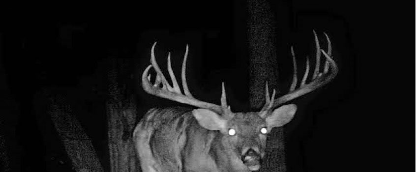 Drinnon-Grayson-County-Texas-Poacher-Trail-Cam-Photo-TPWD1