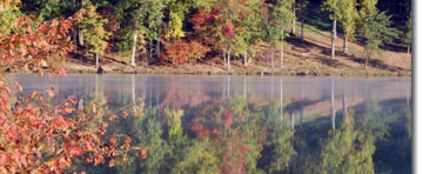 Fall_Foliage_SCSP Photo by Maryland DNR