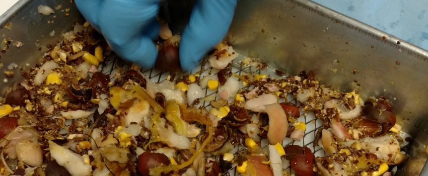 IMG_20151207_083416878_TOP