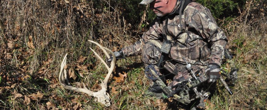 WHITETAIL DEER