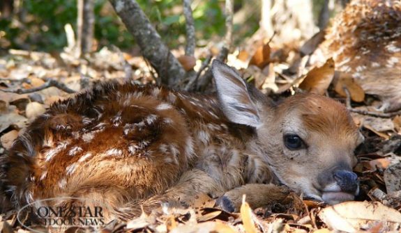 JamesRichards-194-600x350[1]