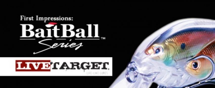 LiveTarget-BaitBall-Review-500x223