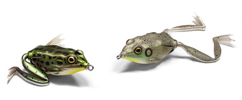 Lunker frog Photo by Lunkerhunt