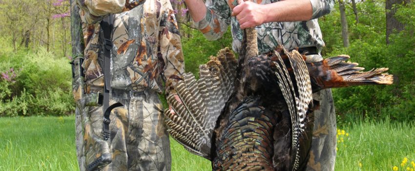 MD Spring Turkey 09 071 - Copy