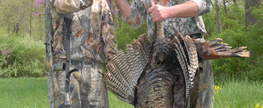 MD Spring Turkey 09 071