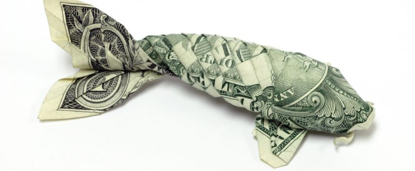 Money origami by Won Park Photo by GiantThinkers.com