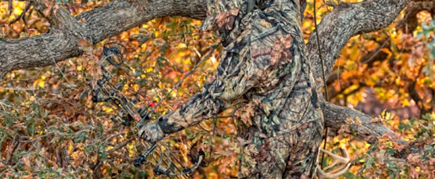 A tree stand can become red hot as the breeding season approaches.