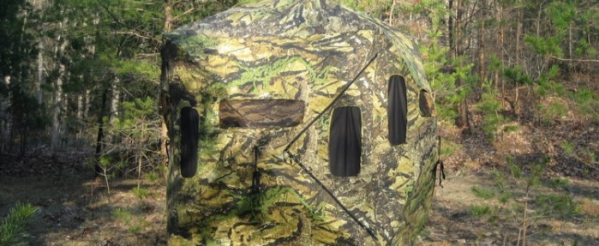 PrimosDarkHorseDblBullBlindOpenings