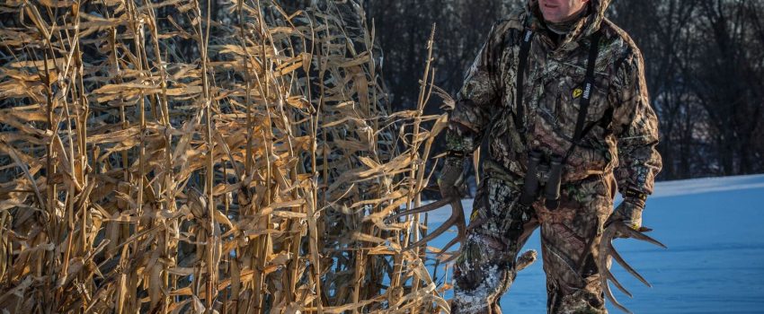 RobinsonunspecifiedCAIPQPDF