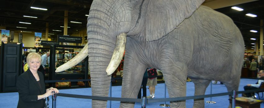 The 2017 SCI Convention will feature incredible taxidermy displays like this full-mount African elephant.