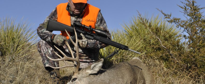 SD DEER 2011 317