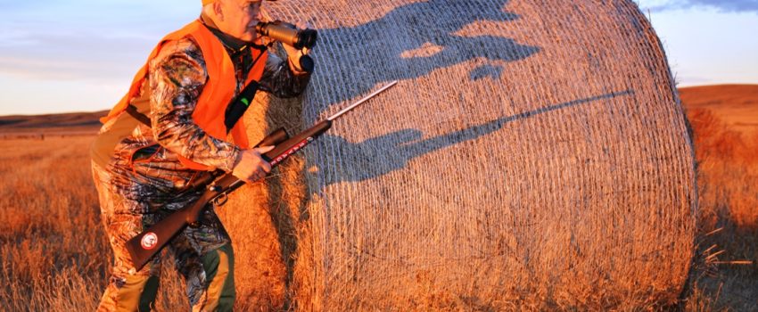 A deer's body language can fortel it's next move.