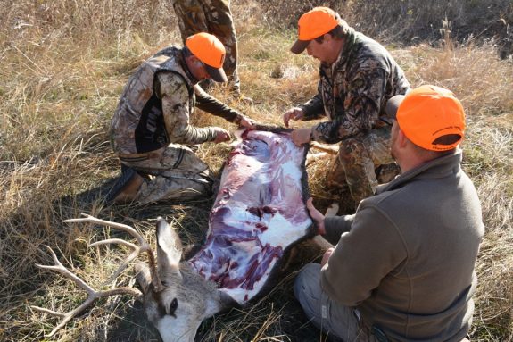 Once you see how easily a deer can be skinned and quartered, you'll be able to do it quickly in the field.