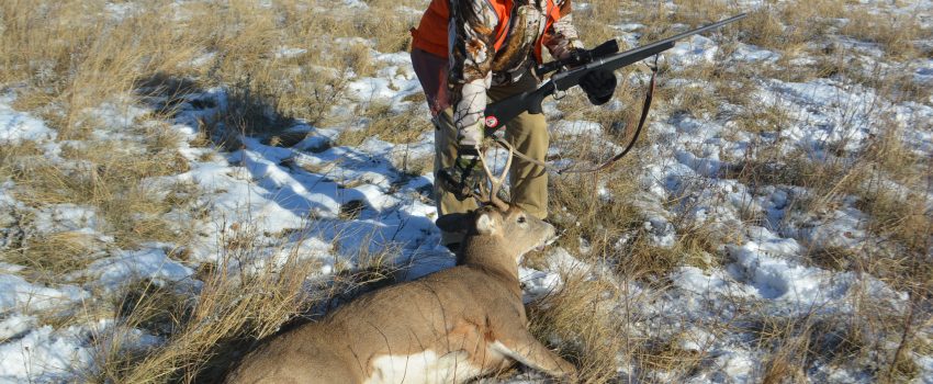 Harvesting a local deer is more ecologically satisfying than raising a cow in the back yard.