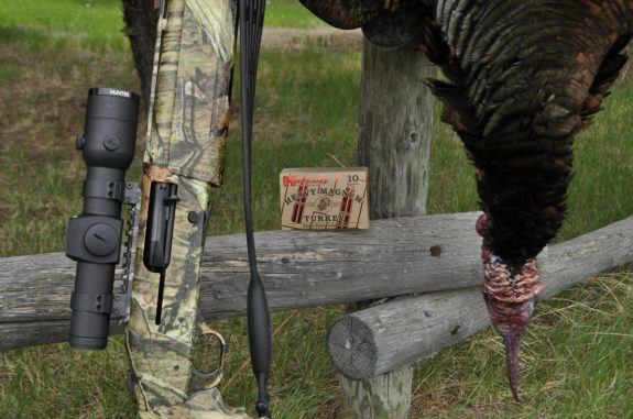 SD Spring Turkey 2012 399 (1024x680)