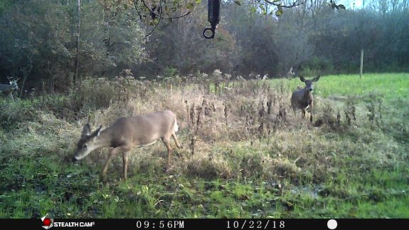 PX_V_cdsAd=64,firstLum =158,EV=38,FTT=1656,FG=22,FT=19950,NIR=1,GM=41,CT=160,TY=97,PY=111,DY=43,GB=0x80,NY=0,AE(0,0,640,360,1),0