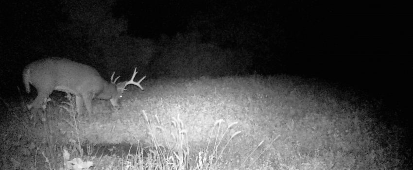 P18_T_FG=6000,FT=121604,NIR=0,GM=2,CT=128,EV=59,TY=98,PY=87,DY=38,GB=0xa0,NY=0,AE(160,80,160,320,1),0