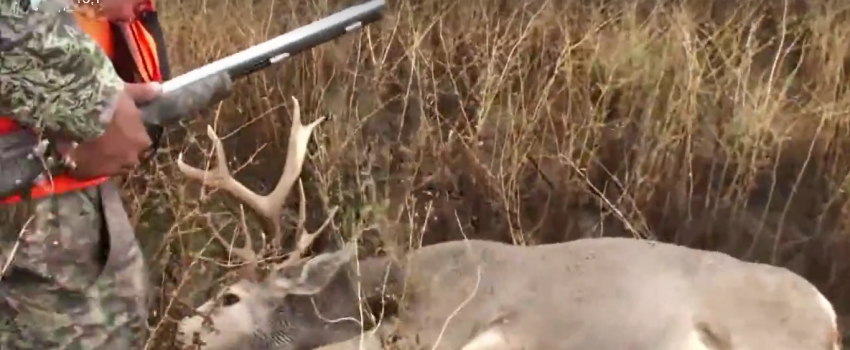 Screenshot 2016-01-12 11.03.00