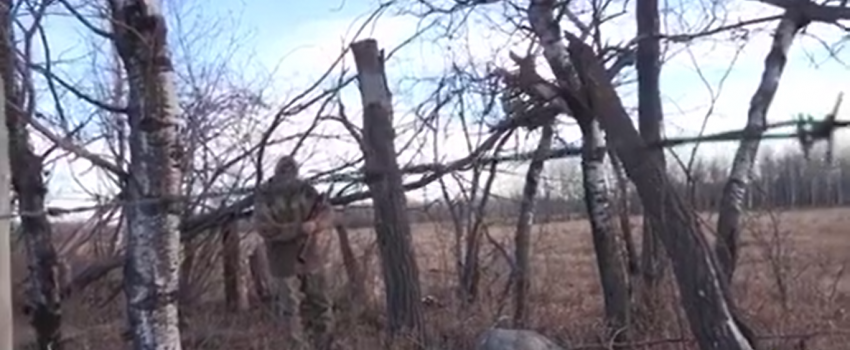 Screenshot 2016-01-14 05.33.16