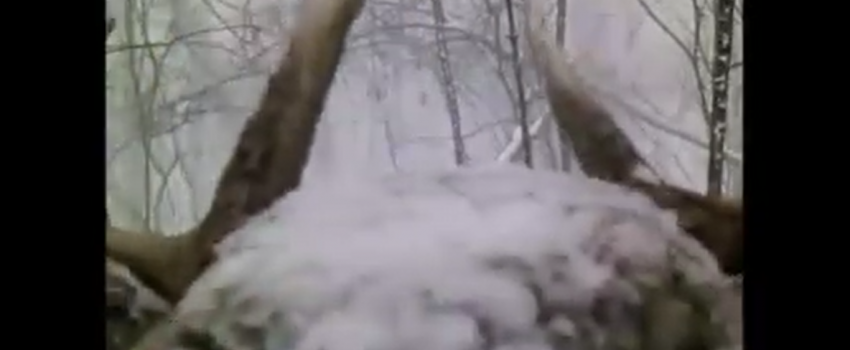 Screenshot 2016-02-24 08.41.47