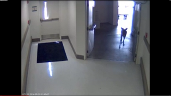 Screenshot 2016-04-07 05.41.19