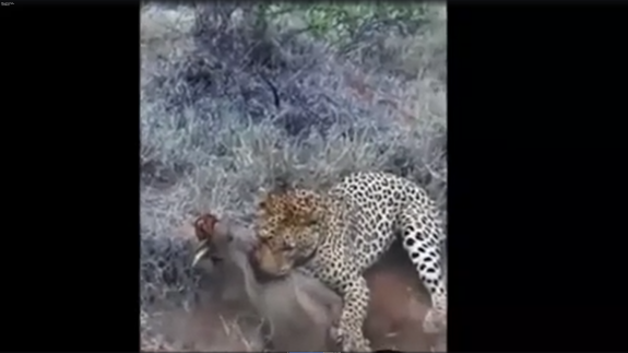 Screenshot 2016-04-20 06.51.20