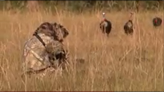 Screenshot 2016-04-21 04.22.58