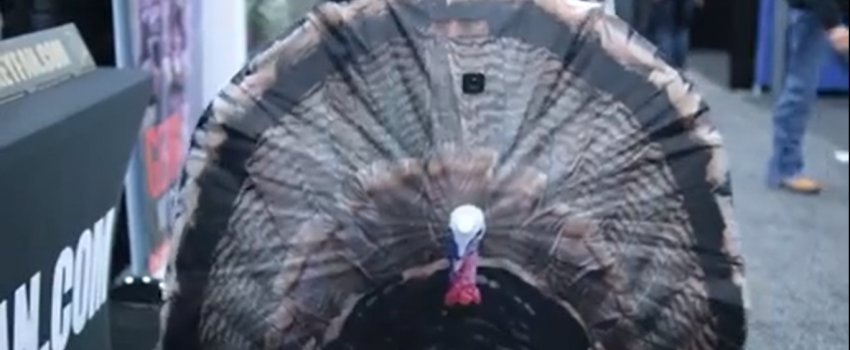 Screenshot 2016-05-03 05.32.05