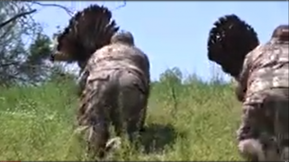 Screenshot 2016-05-13 05.51.08