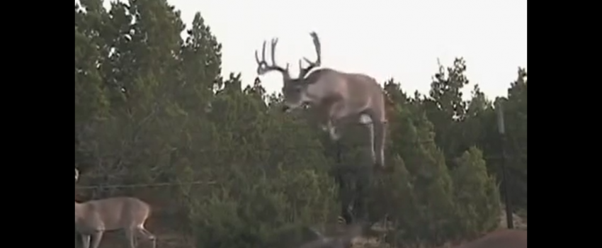 Screenshot 2016-07-05 06.27.54