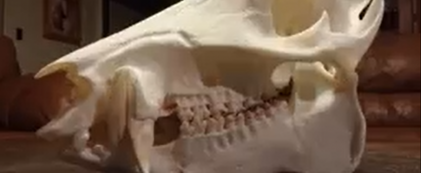 screenshot-2016-10-07-04-16-39