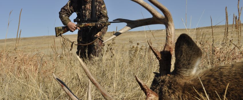 The author took this 140-class buck at 258 yards using a backpack as a rest.