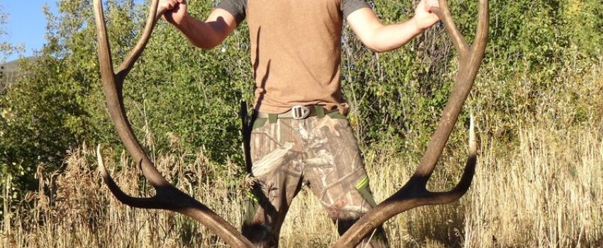 WilsonelkbigDSC00896%20(1)