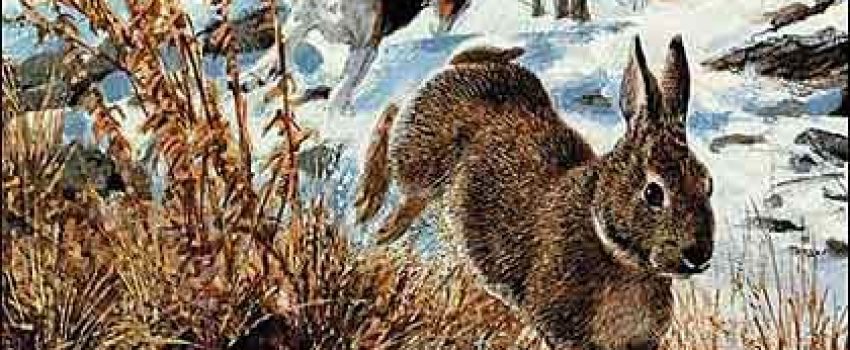 c77d811f0d4071a1a7c892341ea79c75