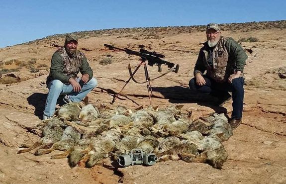 Coyotes are abundant and prolific.  You can never kill too many.