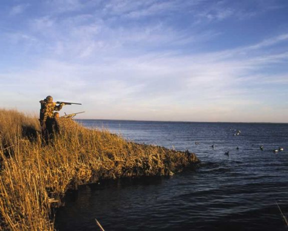 duck_hunters_blind Photo by Washington Department of Fish and Wildlife