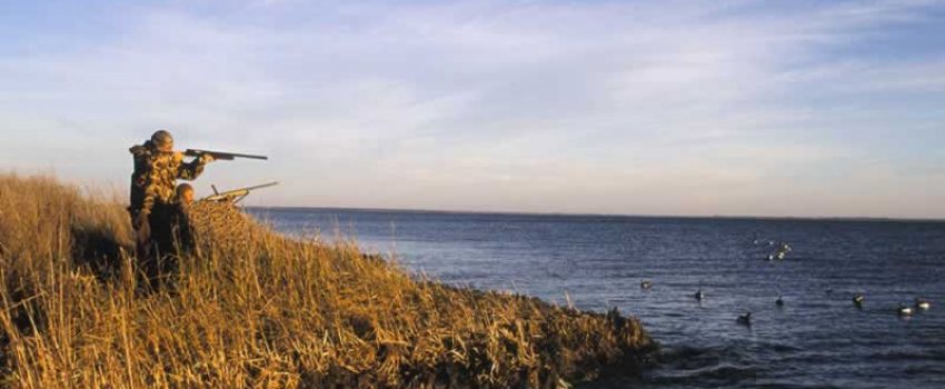 duck_hunters_blind Photo by Washington Department of Fish and Wildlife