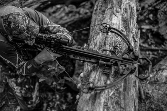 fcc33d52-f4db-4785-8117-9a7740f2f7f6