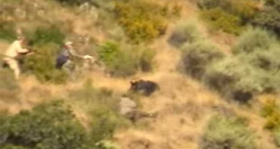 ftd-chargboar-620x330