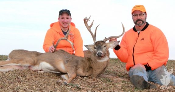 gimp_lead_574_305_s[1]