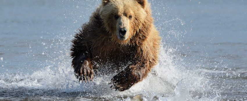 You never want to see this.